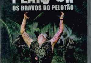 imagem_2