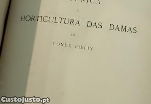 imagem_10