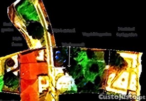 imagem_40