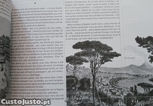 imagem_3