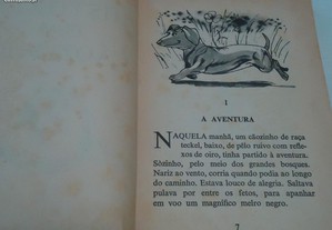 imagem_8
