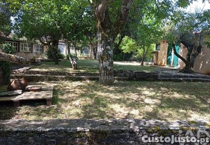 imagem_26