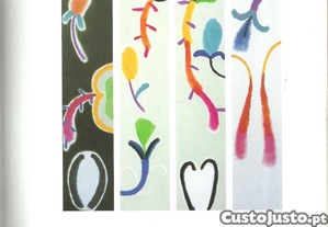 imagem_5
