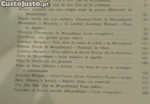 imagem_17