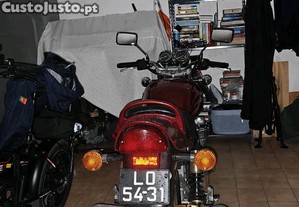 imagem_3