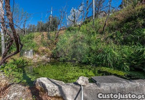 imagem_24