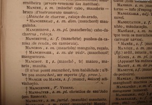 imagem_4