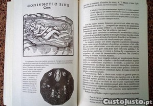 imagem_5