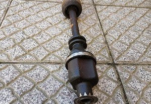 imagem_3