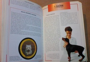 imagem_8