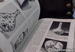 imagem_8