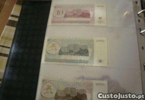 imagem_8