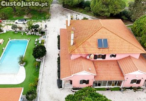 imagem_11