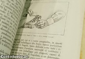 imagem_5