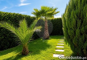 imagem_19