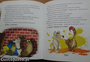 imagem_7