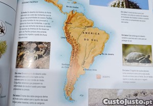 imagem_5