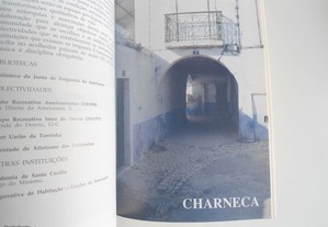 imagem_4