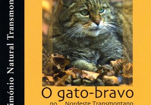 O Gato-Bravo - do Noredeste Transmontano