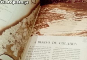 imagem_9