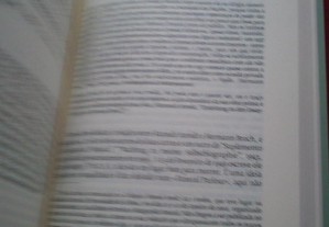 imagem_7