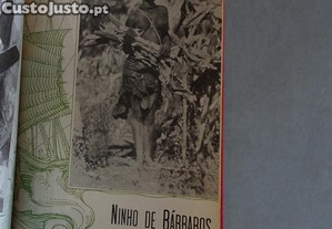 imagem_4