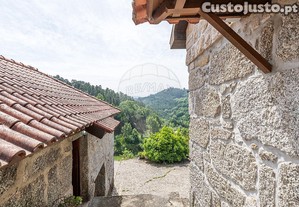 imagem_11