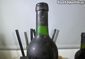 imagem_3
