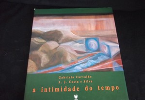 Livro A intimidade do Tempo Gabriela Carvalho