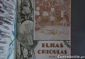 imagem_8