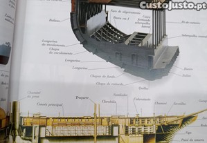 imagem_4