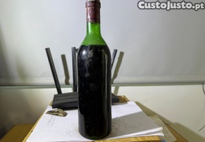 imagem_5