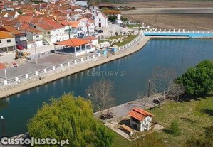 imagem_15