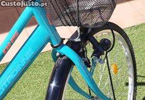 imagem_4