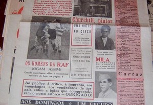 imagem_2