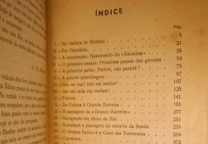 imagem_7