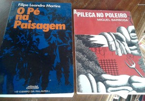 Obras de Filipe Leandro Martins e Miguel Barbosa