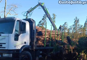 Camio Iveco florestal