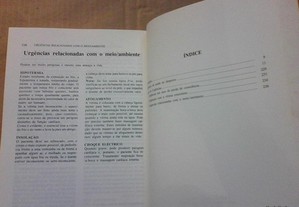 imagem_8