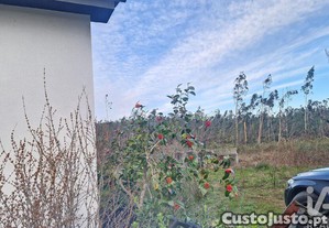 imagem_31