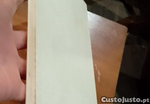 imagem_12