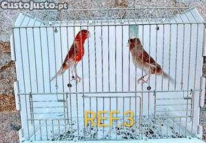 imagem_3