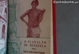 imagem_7