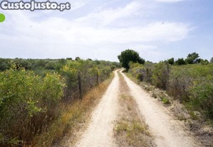 imagem_4