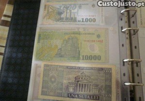 imagem_7