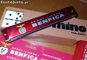 Harmónica sport club Benfica