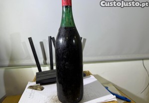 imagem_6