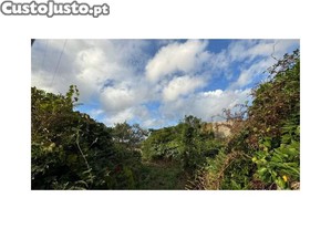 imagem_5