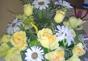 imagem_2