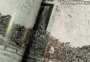 imagem_7